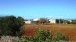 Masseria di 2000 mq comprese stalle e annessi - oltre38 ettari di terreni  La nostra propriet&agrave; si estende per ha 38.78.90 costituiti da un unico corpo e quindi nel suo interno non vi &egrave; nessun&acute;altra propriet&agrave;.  si trova al suo stato originario e nessun progetto di intervento o realizzazione &egrave; in corso.  Completamente da ristrutturare - bellissima struttura     Studio Immobiliare Marinella Coppi Tel.  +39 055 853559 www.le-case.com info@le-case.com    Rif. 10727 www.le-case.com 