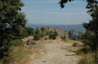 Azienda agricola della superficie di 95 ha. in comune di San Casciano dei Bagni con rudere di casale di circa 500 mq. ubicato in posizione dominante con splendido panorama da Chiusi fino ad Orvieto passando per Citt&agrave; della Pieve. I terreni dell&acute;azienda sono destinati a bosco (circa 80 ha.), seminativo arborato e pascolo (circa 15 ha.).<BR>UBICAZIONE <BR>L&acute;immobile &egrave; collocato a circa 5 Km. dal centro storico di San Casciano dei Bagni, in posizione isolata, assolutamente riservata e panoramica. Lo si raggiunge  dall&acute;A1 dall&acute;uscita di Fabro in soli 15 km, per chi proviene da sud e dall&acute;uscita di Chiusi-Chianciano Terme per chi proviene da nord percorrendo 25 km. San Casciano dei Bagni &egrave; un centro Termale inserito fra i Leading Small Hotels in the World  e The Great Spa Hotels in the World. Montepulciano, Montalcino, Pienza, Cortona, Arezzo, Perugia, Orvieto  ed altre citt&agrave; storiche si raggiungono in circa 40 mn. La strada bianca di 5 Km circa &egrave; per i � in buone condizioni mentre l&acute;ultimo tratto &egrave; da ripristinare. <BR>DESCRIZIONE <BR>Azienda agricola della superficie di circa 95 ha. ubicata in posizione dominante a circa 600 metri s.l.m. in Comune di San Casciano dei Bagni. Sull&acute;azienda insiste un rudere di casale della superficie di circa 500 mq. che gode idi uno splendido panorama sulla Bassa Val di Chiana e sull&acute;Alto Orvietano, da Chiusi, fino ad Orvieto passando per Citt&agrave; della Pieve. I terreni dell&acute;azienda (che dista circa 5 Km di strada sterrata dal centro storico di San Casciano dei Bagni ) sono ad oggi destinati a bosco (circa 80 ha.) e a seminativo arborato e pascolo (circa 15 ha.). I confini sono ad oggi recintati per circa il 50% della superficie. Tale azienda offre varie possibilit&agrave; di sfruttamento: dal Fondo chiuso per chi ama cacciare senza essere disturbato, dal taglio della legna del bosco ceduo matricinato d&acute;alto fuso, dall&acute;azienda faunistica con attivit&agrave; di allevamento a scopo di ripopolamento di animali selvatici quali caprioli, daini, lepri etc.....<BR>STATO E RIFINITURE<BR>Il fabbricato all&acute;interno dell&acute;azienda trattandosi di rudere necessita una ristrutturazione totale.  <BR>SERVIZI E UTENZE<BR>In questo momento le utenze arrivano all&acute;inizio dell&acute;azienda. Sia l&acute;acquedotto comunale che la linea Enel sono da portare fino al casale. Il proprietario &egrave; comunque disposto a venire incontro ad un potenziale acquirente trattando il prezzo in base all&acute;entit&agrave; dei lavori per realizzare gli allacci. <BR>SITUAZIONE URBANISTICA - CATASTALE<BR>L&acute;immobile, sotto il profilo urbanistico, &egrave; stato edificato  prima del 1967 e successivamente non ha subito modifiche e/o ristrutturazioni. <BR>DATI PROPRIETA&acute; ED EVENTUALI VINCOLI<BR>Tutta la propriet&agrave; &egrave; intestata a persone fisiche e la vendita &egrave; soggetta a imposta di registro rispettivamente al 10 % per i fabbricati se seconda casa o al 3 % se acquisto della propriet&agrave; con agevolazioni prima casa e con l&acute;obbligo quindi di trasferire la propria residenza nell&acute;abitazione entro 18 mesi dalla data del rogito notarile. I terreni infine sono tassati al 18 % del prezzo dichiarato in atto. <BR>UTILIZZI E POTENZIALITA&acute;<BR>L&acute;azienda come gi&agrave; sopra citato si presta a diverse soluzioni: dal Fondo chiuso per chi ama cacciare senza essere disturbato, dal taglio della legna del bosco ceduo matricinato d&acute;alto fuso, dall&acute;azienda faunistica con attivit&agrave; di allevamento a scopo di ripopolamento di animali selvatici quali caprioli, daini, lepri etc....<BR> <BR><BR><BR>