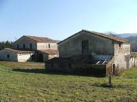 San Casciano dei Bagni: Azienda agricola di 54 ettari, seminativi, con una casa colonica e capannone per tot. mq 700.  