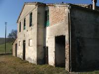immagine relativa a 