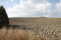 Terreno agricolo della superficie di 54 ha attualmente adibito a seminativo e pascolo. <BR>Ubicazione <BR>Il terreno &egrave; ubicato sulla strada Provinciale che collega San Casciano dei Bagni (uno dei pi&ugrave; famosi centri termali ad oggi presenti in Europa) alla Via Cassia. Dista circa 10 km da San Casciano dei Bagni e circa 5 Km dal borgo medievale di Celle sul Rigo celebre per la sua Rocca. L&acute;immobile dista circa 30 Km dalle uscite autostradale di Chiusi Chianciano terme e Fabro sulla A1 e circa 30 km dalla stazione ferroviaria di Chiusi ben collegata sia a Roma che Firenze con circa 1 ora di viaggio. I maggiori centri storici del sud della Toscana e dell&acute;Umbria distano circa 40 minuti di automobile: Pienza, Montepulciano, Montalcino, Cetona, Bagno Vignoni, Siena, Perugia, Orvieto, Todi... <BR>Dati Propriet&agrave; e Vincoli <BR>La propriet&agrave; &egrave; intestata a persona fisica quindi soggetta a tassazione del 18%. <BR>Utilizzi e potenzialit&agrave; <BR>Ottimo dal punto di vista agricolo per la coltivazione di cereali e frumento. <BR><BR>