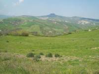 Terreno di 18 ha. circa ubicato nella bellissima campagna toscana nel comune di San Casciano dei Bagni in loc.Celle sul Rigo destinato a seminativo, pascolo e calanchi. Bellissima la posizione panoramica.<BR><BR>UBICAZIONE <BR>Il terreno &egrave; ubicato a tre Km dal centro abitato di Celle sul Rigo. Celle sul Rigo &egrave; un piccolo centro abitato dotato comunque di tutti i servizi di prima necessit&agrave; quali alimentari, ristoranti, farmacia, ufficio postale. Il Comune di riferimento &egrave; quello di San Casciano dei Bagni, borgo medievale famoso per il suo rinomato centro termale Fonteverde, considerato uno dei pi&ugrave; belli al mondo. E&acute; facilmente raggiungibile grazie alla vicinanza delle uscita autostradale di Chiusi Chianciano  e di Fabro. <BR>   <BR>DESCRIZIONE <BR>Terreno di 18 ha. ubicato nel comune di San Casciano dei Bagni, in loc.Celle sul Rigo tra le verdeggianti colline e le vecchie strade di campagna. Attualmente il terreno in oggetto &egrave; destinato in parte a seminativo ( circa 13,25 ha.) , pascolo (2 ha.) e calanchi (3 ha.). <BR><BR>SERVIZI E UTENZE<BR>Il terreno ad oggi &egrave; sprovvisto di utenze. <BR><BR>SITUAZIONE URBANISTICA - CATASTALE<BR>Il terreno &egrave; censito al N.C.T del comune di San Casciano dei Bagni.<BR><BR>DATI PROPRIETA&acute; ED EVENTUALI VINCOLI<BR>Tutta la propriet&agrave; &egrave; intestata a persone fisiche e la vendita &egrave; soggetta a imposta di registro del 18 % del prezzo dichiarato in atto. <BR><BR>UTILIZZI E POTENZIALITA&acute;<BR>Data la posizione e la composizione del terreno, si presta a molteplici colture come mais, grano, girasole e piante di ulivi.<BR><BR>