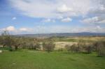 Terreno di 3.17 ha ubicato nella bellissima campagna toscana nel comune di Cetona destinato ad uliveto e seminativo. Completano la propriet&agrave; piccola cantina di 25 mq con grotta dimessa di circa 25 mq.<BR><BR>UBICAZIONE <BR>Il terreno &egrave; ubicato ad un solo Km dal centro abitato di Piazze. Piazze &egrave; un piccolo centro abitato dotato comunque di tutti i servizi di prima necessit&agrave; quali alimentari, ristoranti, banca, farmacia, ufficio postale. La sua posizione estremamente panoramica alle pendici del Monte Cetona ad un&acute;altezza di 375 mt. sul livello del mare lo rende meta apprezzata da molti turisti che ne vengono a godere la campagna variegata ricca di vigneti, oliveti, boschi e campi coltivati negli agriturismi.<BR>   <BR>DESCRIZIONE <BR>Terreno di 3.17 ha ubicato nel comune di Cetona tra le verdeggianti colline e le vecchie strade di campagna ricche di fascino. Attualmente il terreno in oggetto &egrave; destinato in parte ad uliveto ( circa 6000 mq) in produzione con piante che producono un ottimo olio grazie alla favorevole esposizione e composizione del terreno e la restante parte (2.57 ha circa) destinata tutta a seminativo. Completano la propriet&agrave; piccola cantina di 25 mq con grotta dimessa da ripristinare di circa 25 mq.<BR><BR>SERVIZI E UTENZE<BR>Per quanto riguarda l&acute;acqua, &egrave; presente un piccolo laghetto all&acute;interno dell&acute;uliveto, acqua potabile nella cantina e possibile allaccio elettrico.<BR><BR>SITUAZIONE URBANISTICA - CATASTALE<BR>Il terreno &egrave; censito al N.C.T del comune di Cetona.<BR><BR>DATI PROPRIETA&acute; ED EVENTUALI VINCOLI<BR>Tutta la propriet&agrave; &egrave; intestata a persone fisiche e la vendita &egrave; soggetta a imposta di registro del 18 % del prezzo dichiarato in atto. <BR><BR>UTILIZZI E POTENZIALITA&acute;<BR>Data la posizione e la composizione del terreno, si presta a molteplici colture come mais, grano, girasole e piante di ulivi.<BR><BR>