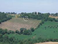 Porzione di casale abitabile con una superficie di mq. 300, posta in bella posizione panoramica e dominante tra Volterra e San Gimignano, &egrave; disposta su 2 livelli con al piano terra la cantina e vari magazzini; al primo piano l�abitazione principale cos&igrave; composta: cucina, soggiorno, 3 camere da letto matrimoniali, il bagno e un ampio ripostiglio con finestre. Il comune di Volterra concede un ampliamento di mq. 30. Il terreno di pertinenza &egrave; di circa 5000 mq. No condominio. 