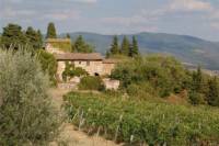 Nel Chianti Classico Fiorentino in comune di San Casciano Val di Pesa, ubicato su di un terrazzo naturale panoramicissimo prestigioso complesso immobiliare risalente al 1200 comprendente un borgo, un casale con Torre Longobarda ed un ulteriore casale, il tutto contornato da vari annessi e per una superficie complessiva di 2.200 mq. circa. Completano la propriet&agrave; circa 20 ha. di terreno ripartito in 10 ha. di vigneti docg Chianti Classico, 8 ha. di oliveto, 2 ha. di bosco - seminativo/incolto. <BR>Ubicazione <BR>La propriet&agrave; si trova nel rinomato territorio del Chianti Classico Fiorentino, in un colle dal quale la vista panoramica spazia sulla vallata sottostante ove risiedono le migliori aziende vitivinicole nazionali ed internazionali. Da questa privilegiata posizione si pu&ograve; godere inoltre della vista della citt&agrave; di Firenze sino al comprensorio dell&acute; appennino tosco - emiliano tra cui spicca il monte Abetone proteso verso Pistoia. Logisticamente la propriet&agrave; &egrave; al centro di importanti arterie stradali che la rendono facilmente raggiungibile da ogni parte avendo la famosa Cassia, la Chiantigiana SS 222, l&acute;autostrada A1 Firenze-Certosa a 7 Km, la superstada Firenze-Siena casello Tavarnelle a 6 Km, la Fi - Pi - Li (Firenze-Pisa-Livorno) casello Ginestra Fiorentina a 8Km. L&acute;aeroporto di Firenze e di Pisa distano rispettivamente soltanto 23 Km e 69 Km. Le distanze ai centri vicini: Firenze e Fiesole 10 Km, i capoluoghi dei comuni del Chianti Classico Fiorentino come San Casciano a 5 Km, Greve in Chianti a 6 Km, Impruneta a 6 Km, Tavarnelle a 7 Km, il Golf dell&acute;Ugolino a 7 Km; vicinissime sono Siena a 41 Km, Volterra a 48 Km. e San Gimignano a 34 Km. <BR>Descrizione <BR>Il complesso immobiliare si distingue in 2 grandi strutture ubicate a 200 mt. circa l&acute; una dall&acute; altra; si specificano di seguito le singole unit&agrave; per le caratteristiche che esse presentano: Il borgo &egrave; il primo complesso che si trova raggiungendo la propriet&agrave; da San Casciano in Val di Pesa ed &egrave; parte integrante dello stesso una Chiesa poi diventata successivamente Convento: molto particolare &egrave; la disposizione delle singole strutture che compongono questo complesso, infatti troviamo la chiesa in posizione centrale rispetto ai fabbricati i quali si affiancano l&acute; uno all&acute; altro non seguendo una linea retta ma in maniera molto articolata, soluzione architettonica che va ad armonizzare ed a rendere ancor pi&ugrave; caratteristico il primo corpo. La superficie comprendente anche gli annessi circostanti &egrave; di 1270 mq. Il secondo grande complesso comprende un casale con una Torre Longobarda e la Pieve dove in origine sostavano gli abati che dalla vicina Abbazia di Passignano si recavano a Vallombrosa: elemento caratterizzante di questa struttura &egrave; sicuramente la gi&agrave; menzionata torre ma anche un cortile interno che formano un immobile a ferro di cavallo. La superficie di questo complesso &egrave; di 940 mq. totali comprendente anche un&acute; ulteriore casale ubicato a pochi metri e gli annessi circostanti. Il terreno complessivo si estende per 20 ha. circa ed &egrave; ripartito in vigneti di Chianti Classico docg per 10 ha., in oliveto per 8 ha. ed in particelle di bosco e seminativo per 2 ha. <BR>Stato e rifiniture <BR>L&acute; intero complesso immobiliare necessita di interventi di ristrutturazione: le facciate si presentano in pietra e mattoni faccia vista, i solai con volte, volticine e travi in legno. E&acute; possibile inoltre nell&acute; ambito delle opere di ristrutturazione recuperare numerosi materiali originali. <BR>Servizi e Utenze <BR>Tutte le utenze sono gi&agrave; presenti sul posto quindi nell&acute; ambito delle opere di ristrutturazione risulter&agrave; agevole procedere ai relativi allacci; per quanto riguarda l&acute; approvvigionamento idrico, &egrave; interessante sapere che il servizio &egrave; fornito gratuitamente a questa propriet&agrave; perch&eacute; la stessa, all&acute; epoca della costruzione della rete concesse l&acute; utilizzo di terreni ed importanti fonti all&acute; amministrazione comunale. <BR>Situazione Urbanistica e catastale <BR>Gli immobili che compongono questa propriet&agrave; sono stati ovviamente edificati antecedentemente al 1967 e, non avendo subito interventi successivi, attualmente tutti risultano rurali. <BR>Dati Propriet&agrave; e Vincoli <BR>La propriet&agrave; &egrave; intestata ad un&acute; azienda agraria e nell&acute; ambito della compravendita la stessa verr&agrave; scorporata "su misura" dalla societ&agrave;: per questo motivo, l&acute; acquirente potr&agrave; beneficiare di diverse agevolazioni sia fiscali che per le future opere di ristrutturazione. <BR>Utilizzi e potenzialit&agrave; <BR>Il complesso oggetto di vendita data l&acute; ampiezza delle superfici, la prestigiosa posizione panoramica su di un territorio unico nel suo genere nonch&eacute; la vicinanza ad importanti centri di zona ed alle maggiori infrastrutture di comunicazione che facilitano la raggiungibilit&agrave; senza per&ograve; turbare la quiete ed il paesaggio si presterebbe a molteplici usi e destinazioni: da azienda agraria ad agriturismo di livello, da complesso residenziale di lusso a centro di rappresentanza per aziende con annessa residenza privata di prestigio. <BR><BR>